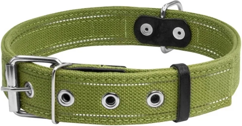Canvas Halsband / Hondenhalsband - Katoen - Reflecterend - L - Breedte: 35 mm - Nekomtrek: 51 - 63 cm (GELIEVE ALVORENS BESTELLEN OPMETEN) by Waudog in Green – product photo