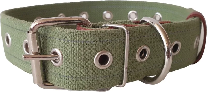Canvas Halsband / Hondenhalsband - Katoen - Reflecterend - L - Breedte: 3,5 cm - Nekomtrek: 42 - 59 cm (GELIEVE ALVORENS BESTELLEN OPMETEN) de Waudog en Vert – photo produit
