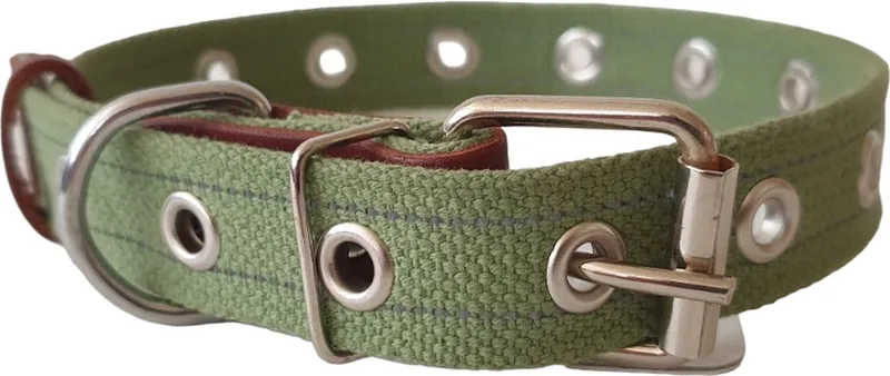 Canvas Halsband / Hondenhalsband - Katoen - Reflecterend - M - Breedte: 25 mm - Nekomtrek: 31 - 51 cm (GELIEVE ALVORENS BESTELLEN OPMETEN) by Waudog in Green – product photo