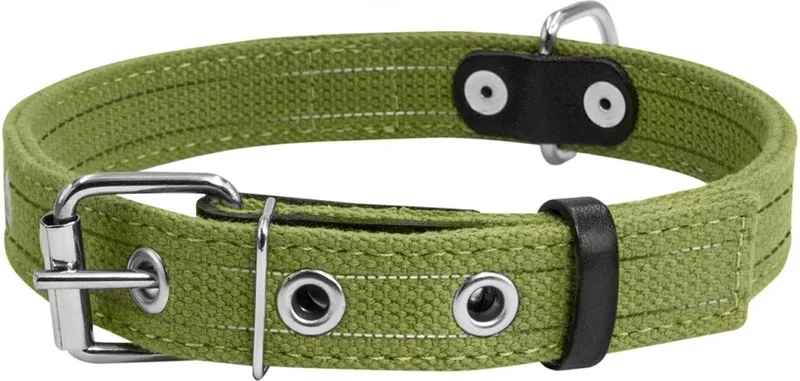 Canvas Halsband / Hondenhalsband - Katoen - Reflecterend - M - Breedte: 2,5 cm - Nekomtrek: 41 - 53 cm (GELIEVE ALVORENS BESTELLEN OPMETEN) by Waudog in Green – product photo
