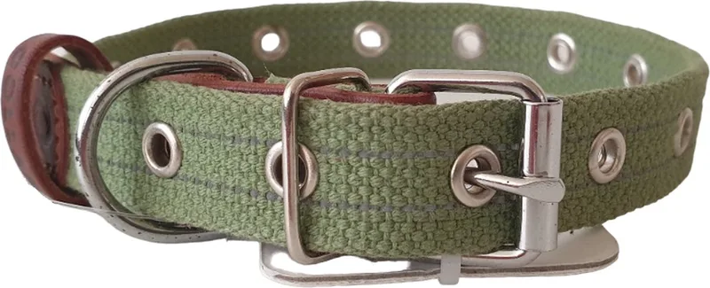 Canvas Halsband / Hondenhalsband - Katoen - Reflecterend - S - Breedte: 2 cm - Nekomtrek: 28,5 - 41 cm (GELIEVE ALVORENS BESTELLEN OPMETEN) by Waudog in Green – product photo