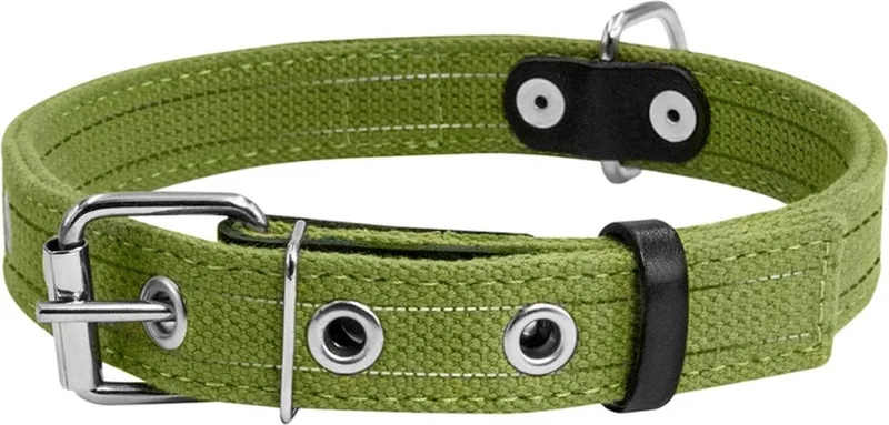 Canvas Halsband / Hondenhalsband - Katoen - Reflecterend - S - Breedte: 20 mm - Nekomtrek: 31 - 41 cm (GELIEVE ALVORENS BESTELLEN OPMETEN) de Waudog en Vert – photo produit