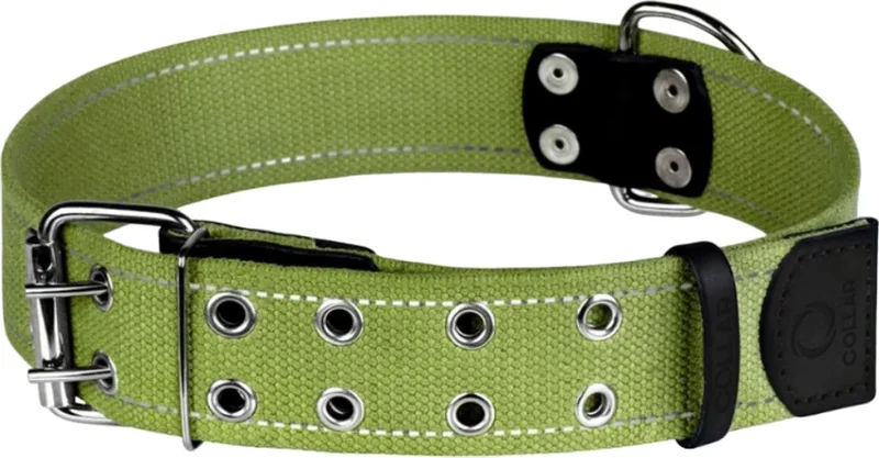 Canvas Halsband / Hondenhalsband - Katoen - Reflecterend - XL - Breedte: 45 mm - Nekomtrek: 58 - 73 cm (GELIEVE ALVORENS BESTELLEN OPMETEN) de Waudog en Vert – photo produit