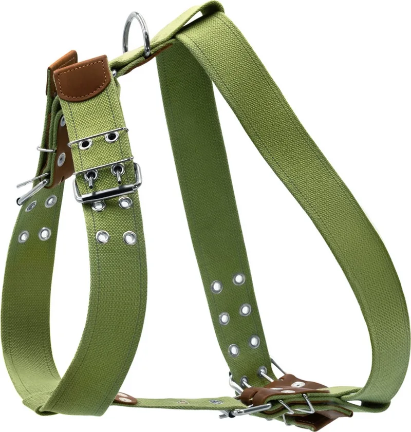 Canvas Harnas / Hondentuig - Katoen - Waterafstotende coating - Legergroen - Reflecterend - Breedte: 45 mm - Nekomtrek 65 - 83 cm - Borstomtrek 84 - 96 cm (GELIEVE ALVORENS BESTELLEN OPMETEN) de Waudog en Vert – photo produit