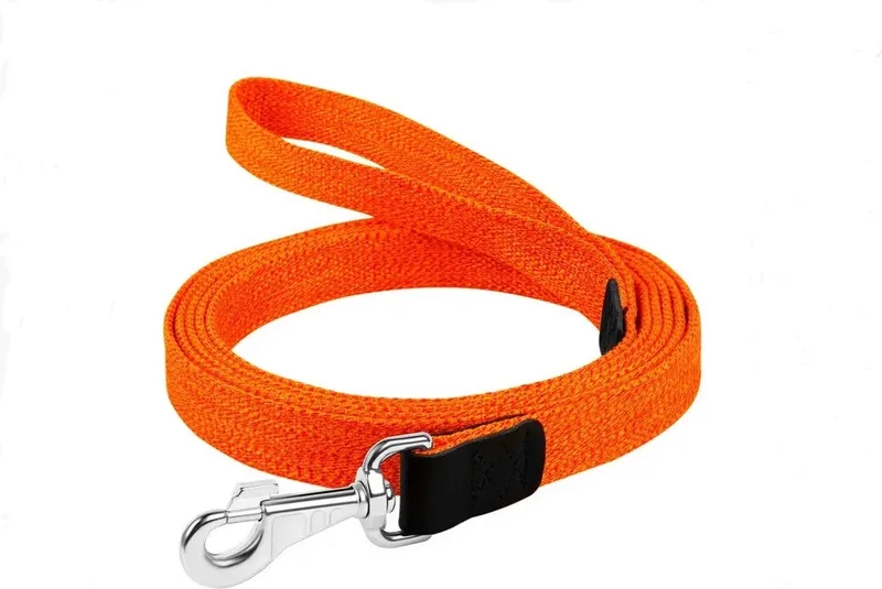 Canvas Hondenlijn / Hondenriem - Gevlochten Katoen - Breedte: 2,5 cm - Lengte: 200 cm - Geschikt voor grote honden de Waudog en Oker – photo produit