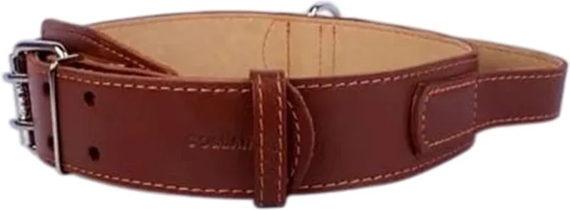 Classic Halsband / Hondenhalsband met Handgreep - Leder - Breedte: 4,5 cm - Nekomtrek: 56 - 68 cm (GELIEVE ALVORENS BESTELLEN OPMETEN) de Waudog en Marron – photo produit