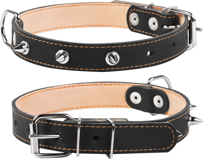 Classic Halsband / Hondenhalsband met Spikes - Leder - Breedte: 2,5 cm - Nekomtrek: 38 - 50 cm (GELIEVE ALVORENS BESTELLEN OPMETEN) de Waudog en Noir – photo produit