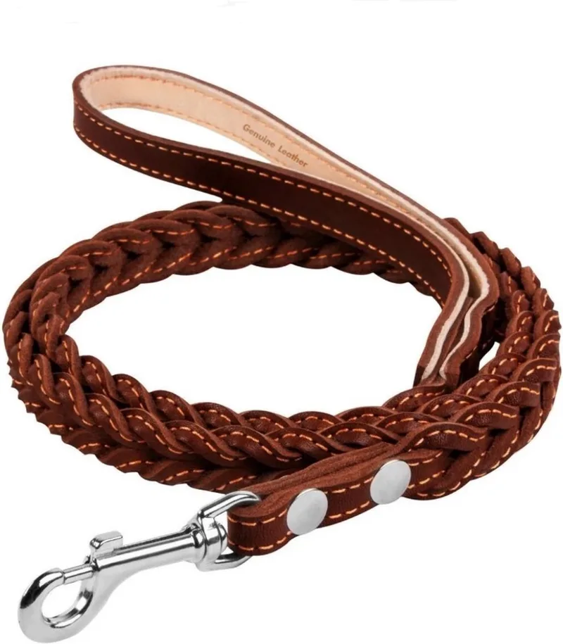 Classic Hondenriem - Gevlochten (plat) - Leder - Breedte: 20 mm - Lengte: 122 cm de Waudog en Marron – photo produit
