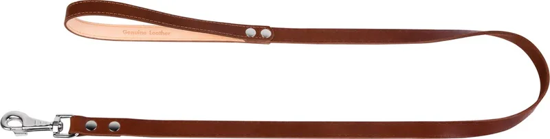 Classic Hondenriem / Hondenlijn - Leder - Breedte: 20 mm - Lengte: 122 cm by Waudog in Brown – product photo