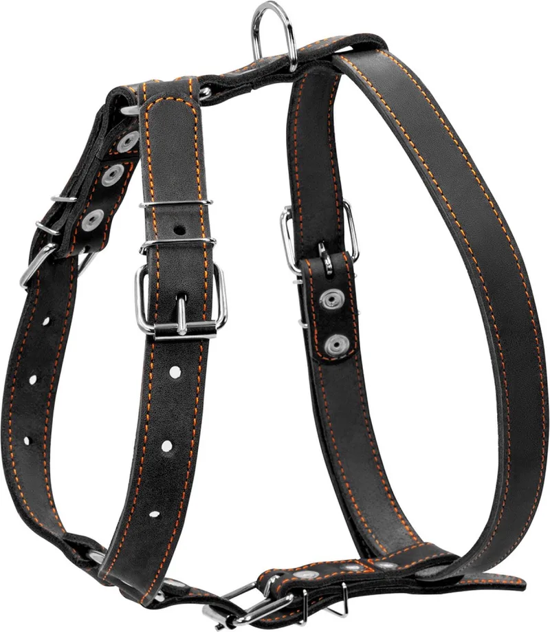 Classsic Harnas / Hondentuigje - Echt Leder - L - Nekomtrek: 40 - 64 cm - Borstomtrek: 69 - 81 cm (GELIEVE ALVORENS BESTELLEN OPMETEN) von Waudog in Schwarz – Produktfoto