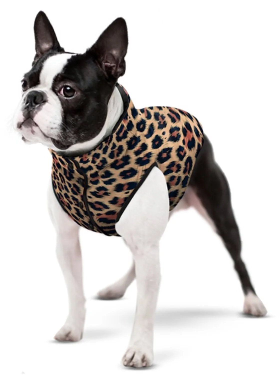 Clothes - Hondenjas Leopard - Maat M50 - rug 45-50 cm de Waudog en Luipaardprint – photo produit