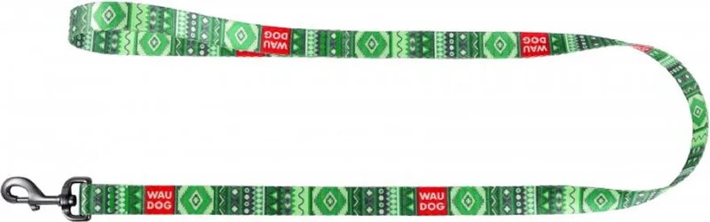 Ethno Hondenlijn / Hondenriem - Nylon - Breedte: 15 mm - Lengte: 122 cm - Geschikt voor middelgrote honden by Waudog in Green – product photo