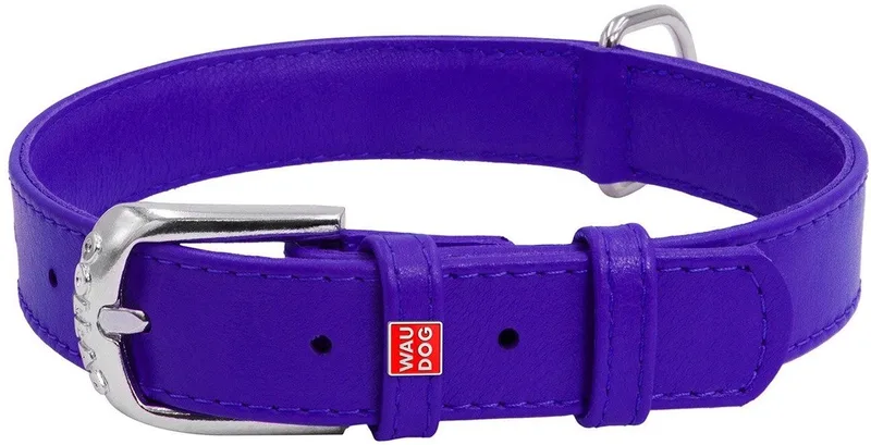 Glamour Halsband / Hondenhalsband - Echt Leder - L - Breedte: 25 mm - Nekomtrek: 38 - 49 cm (GELIEVE ALVORENS BESTELLEN OPMETEN) by Waudog in Purple – product photo