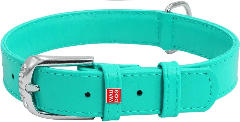 Glamour Halsband / Hondenhalsband - Echt Leder - M - Breedte: 20 mm - Nekomtrek: 30 - 39 cm (GELIEVE ALVORENS BESTELLEN OPMETEN) de Waudog en Mint – photo produit