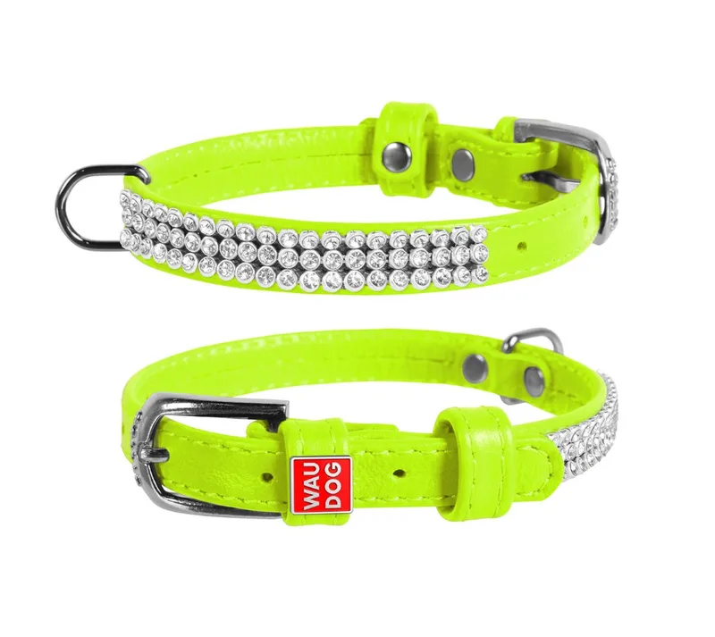 Glamour Halsband / Hondenhalsband - Echt Leder - met Strass steentjes - XS - Breedte: 12 mm - Nekomtrek: 21 - 29 cm (GELIEVE ALVORENS BESTELLEN OPMETEN) de Waudog en Vert – photo produit