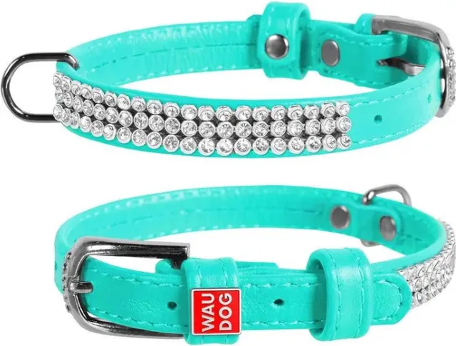 Glamour Halsband / Hondenhalsband - Echt Leder - met Strass steentjes - XS - Breedte: 12 mm - Nekomtrek: 21 - 29 cm (GELIEVE ALVORENS BESTELLEN OPMETEN)