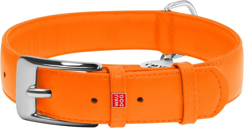 Glamour Halsband / Hondenhalsband - Echt Leder - XL - Breedte: 35 mm - Nekomtrek: 46 - 60 cm (GELIEVE ALVORENS BESTELLEN OPMETEN) von Waudog in Orange – Produktfoto