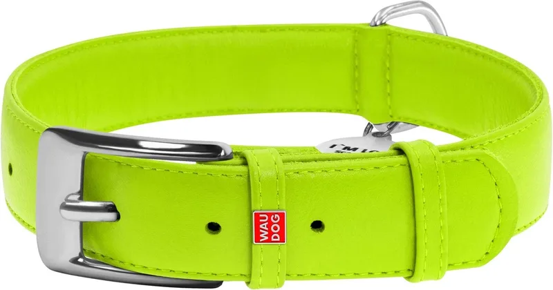 Glamour Halsband / Hondenhalsband - Echt Leder - XL - Breedte: 35 mm - Nekomtrek: 46 - 60 cm (GELIEVE ALVORENS BESTELLEN OPMETEN) de Waudog en Vert – photo produit