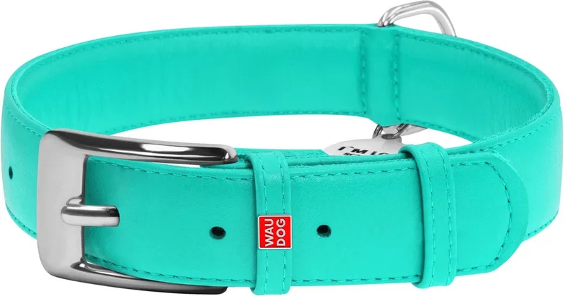 Glamour Halsband / Hondenhalsband - Echt Leder - XL - Breedte: 35 mm - Nekomtrek: 46 - 60 cm (GELIEVE ALVORENS BESTELLEN OPMETEN) by Waudog in Mint – product photo