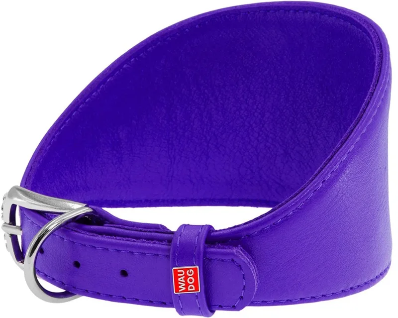Glamour Halsband Windhond - Italiaans leder - Paars - XS - Nekomtrek: 26 - 32 cm (GELIEVE ALVORENS BESTELLEN OPMETEN) de Waudog en Violet – photo produit