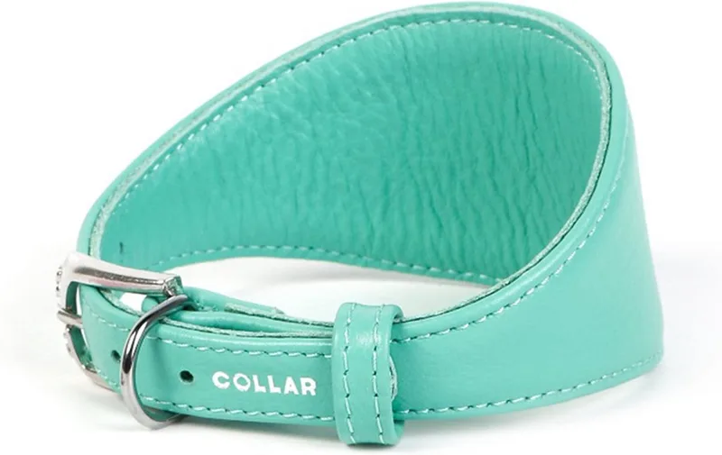 Glamour Halsband Windhond - Italiaans leder - S - Nekomtrek: 34 - 40 cm (GELIEVE ALVORENS BESTELLEN OPMETEN) von Waudog in Mint – Produktfoto