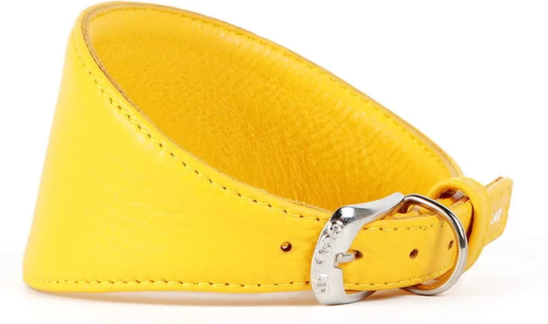 Glamour Halsband Windhond - Italiaans leder - S - Nekomtrek: 34 - 40 cm (GELIEVE ALVORENS BESTELLEN OPMETEN) de Waudog en Jaune – photo produit