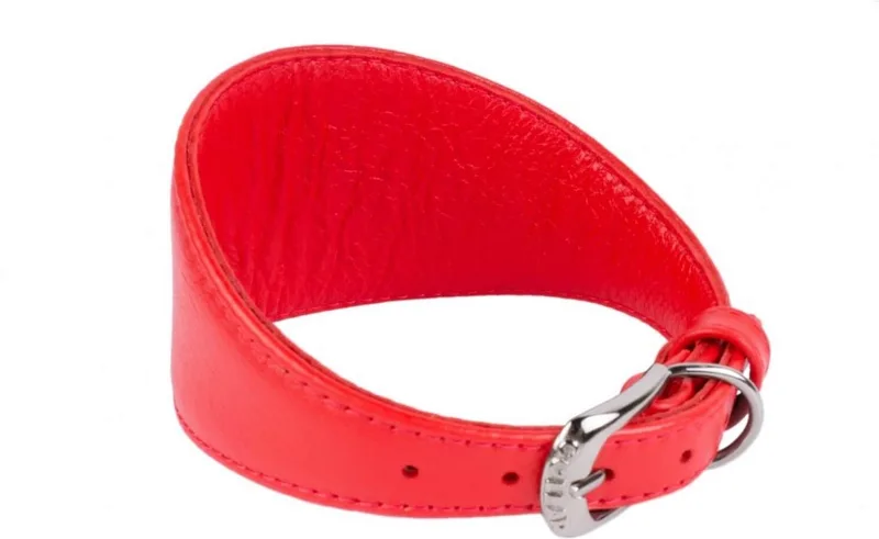 Glamour Halsband Windhond - Italiaans leder - S - Nekomtrek: 34 - 40 cm (GELIEVE ALVORENS BESTELLEN OPMETEN) by Waudog in Red – product photo