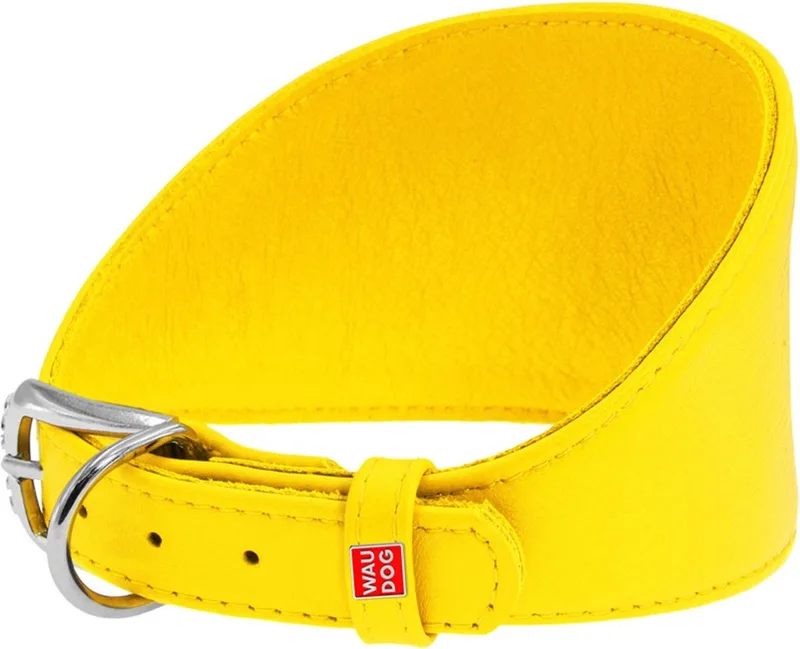 Glamour Halsband Windhond - Italiaans leder - XS - Nekomtrek: 23 - 27 cm (GELIEVE ALVORENS BESTELLEN OPMETEN) by Waudog in Yellow – product photo