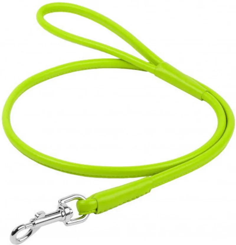 Glamour Hondenriem / Hondenlijn - Rond Leder - Diameter: 6 mm - Lengte: 122 cm by Waudog in Green – product photo