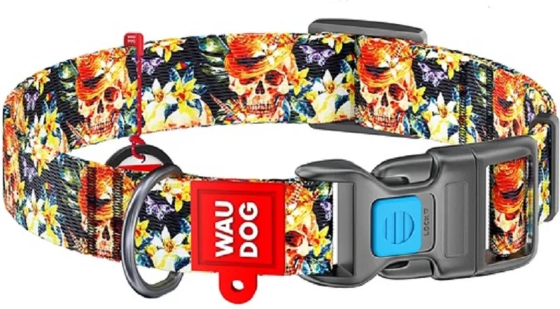 Glamourous Skulls Halsband / Hondenhalsband - Nylon - Gratis QR-tag - S - Breedte: 20 mm - Nekomtrek: 24 - 40 cm (GELIEVE ALVORENS BESTELLEN OPMETEN) by Waudog in Multicolour – product photo