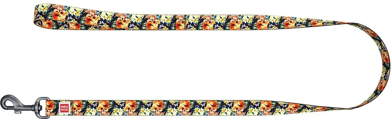 Glamourous Skulls Hondenlijn / Hondenriem - Nylon - Breedte: 15 mm - Lengte: 122 cm by Waudog in Multicolour – product photo