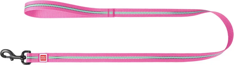 Glow In The Dark Hondenlijn / Hondenriem - Nylon - Reflecterend - Breedte: 2,5 cm - Lengte: 122 cm - Geschikt voor grote honden de Waudog en Rose – photo produit