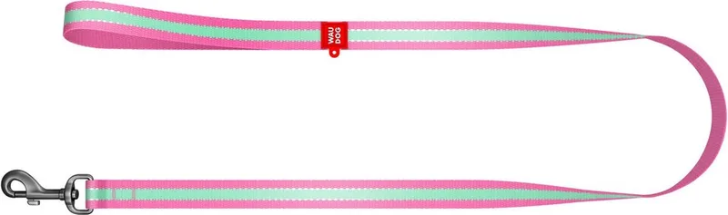 Glow In The Dark Hondenlijn / Hondenriem - Nylon - Reflecterend - Breedte: 1,5 cm - Lengte: 122 cm - Geschikt voor middelgrote honden de Waudog en Rose – photo produit