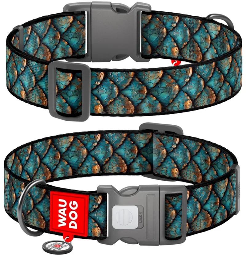 Halsband hond Scales - Nylon - Maat XL - 25 mm by Waudog in Groenblauw – product photo