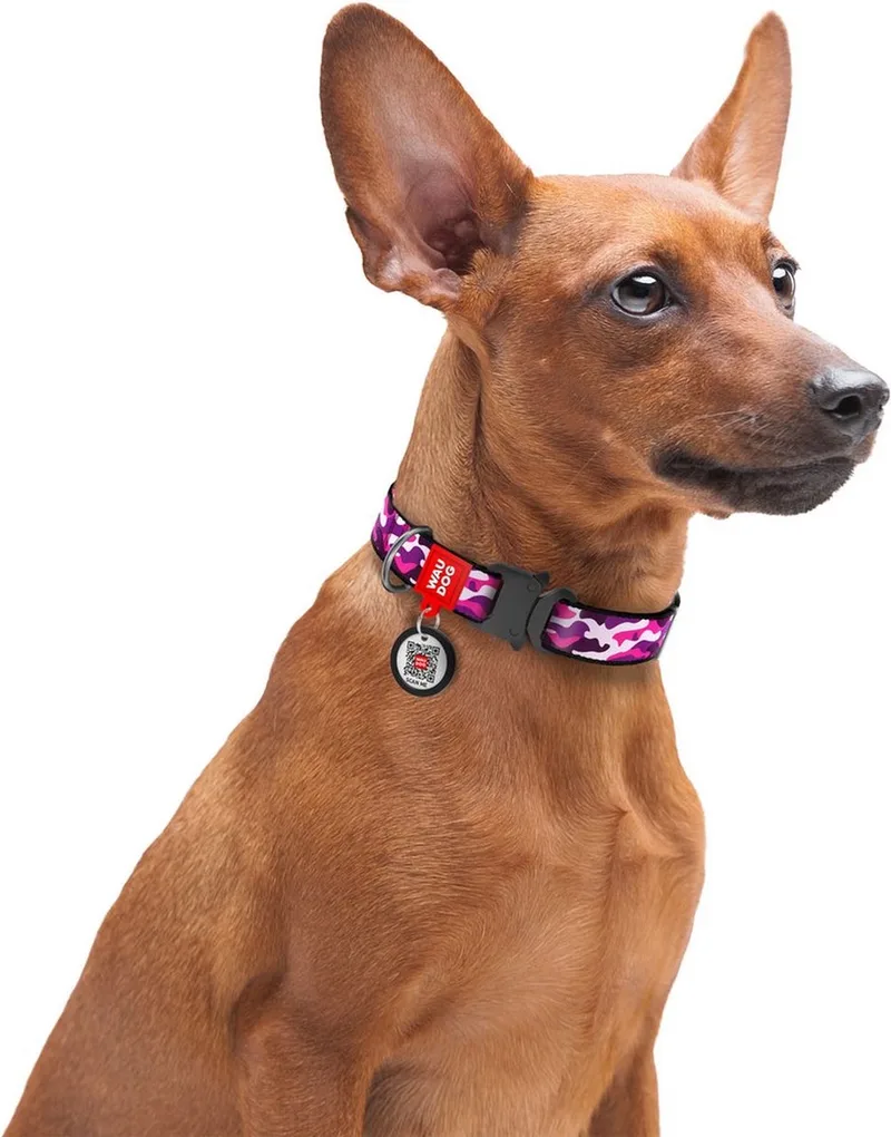 Halsband / Hondenhalsband - Nylon - Metalen Fastex Sluiting - S - Breedte: 20 mm - Nekomtrek: 24 - 40 cm (GELIEVE ALVORENS BESTELLEN OPMETEN) by Waudog in Pink Camo – product photo
