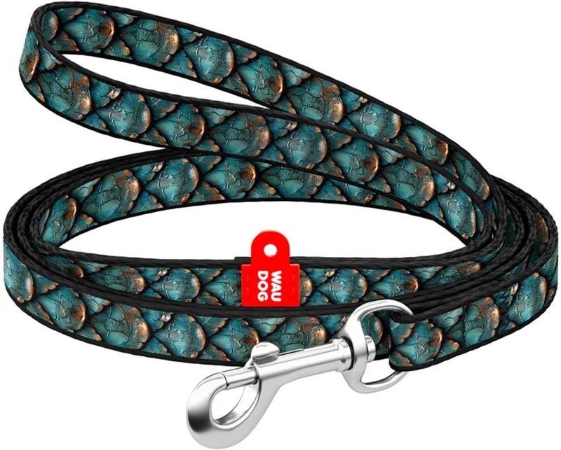 Hondenriem Scales - Nylon - 122 cm x 10 mm - Maat XS de Waudog en Groenblauw – photo produit
