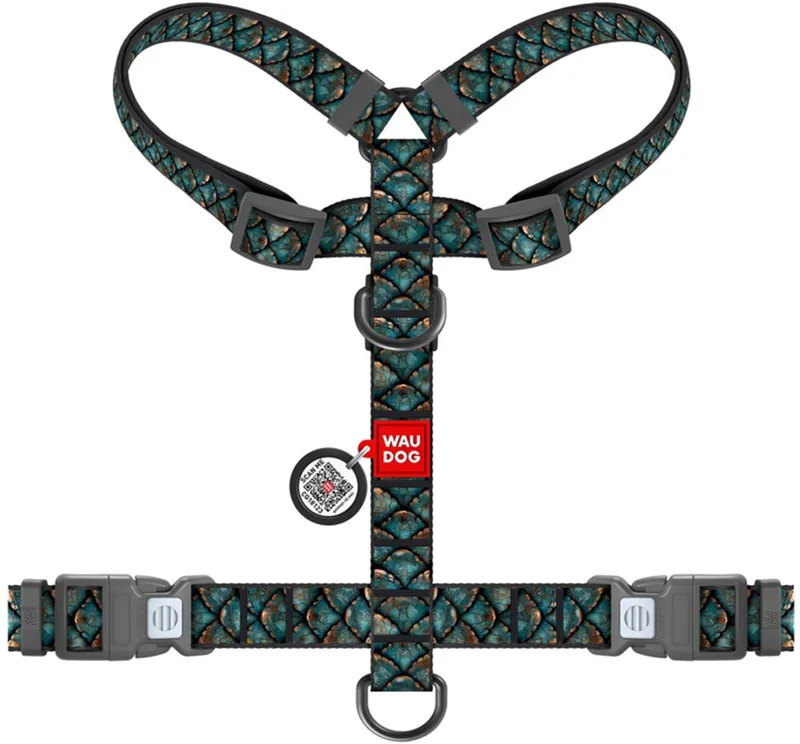 Hondentuig Scales - Nylon - Maat L - 25 mm de Waudog en Groenblauw – photo produit