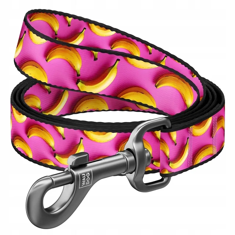 Nylon Hondenriem Bananen Roze M 20mm 122cm von Waudog – Produktfoto
