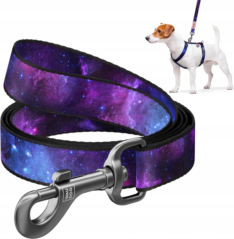 Nylon Hondenriem 'NASA21' - Maat M, 122cm by Waudog – product photo