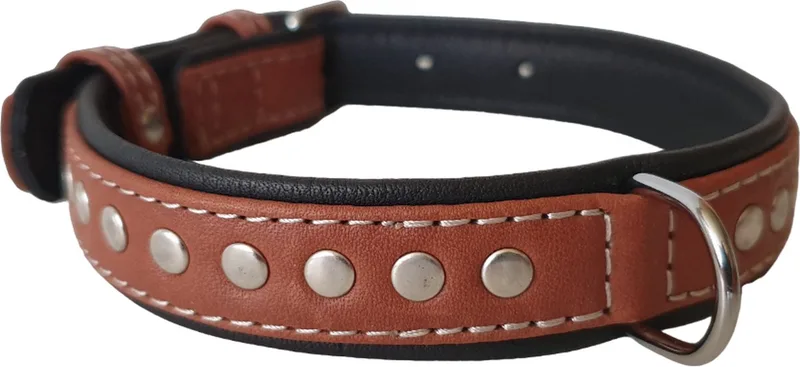 Soft Deco Halsband / Hondenhalsband - Leder - Bruin - S - Breedte: 20 mm - Nekomtrek: 30 - 39 cm (GELIEVE ALVORENS BESTELLEN OPMETEN) fra Waudog i Brun, Sort – produktbillede