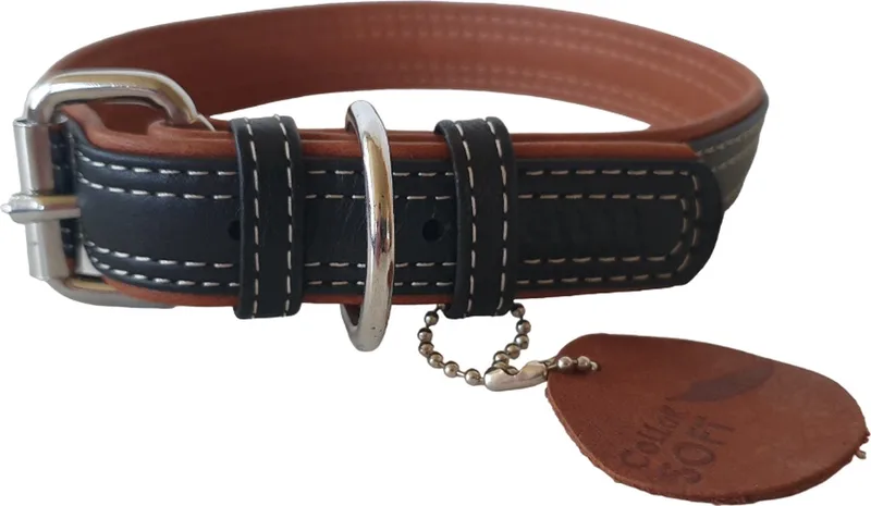 Soft Halsband / Hondenhalsband - Leder - M - Breedte: 25 mm - Nekomtrek: 38 - 49 cm (GELIEVE ALVORENS BESTELLEN OPMETEN) de Waudog en Noir – photo produit