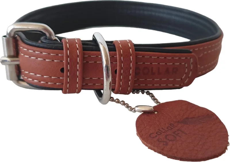 Soft Halsband / Hondenhalsband - Leder - M - Breedte: 25 mm - Nekomtrek: 38 - 49 cm (GELIEVE ALVORENS BESTELLEN OPMETEN) von Waudog in Braun – Produktfoto