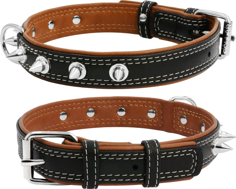 Soft Halsband / Hondenhalsband met Spikes - Leder - Breedte: 2 cm - Nekomtrek: 30 - 39 cm (GELIEVE ALVORENS BESTELLEN OPMETEN) de Waudog en Noir – photo produit