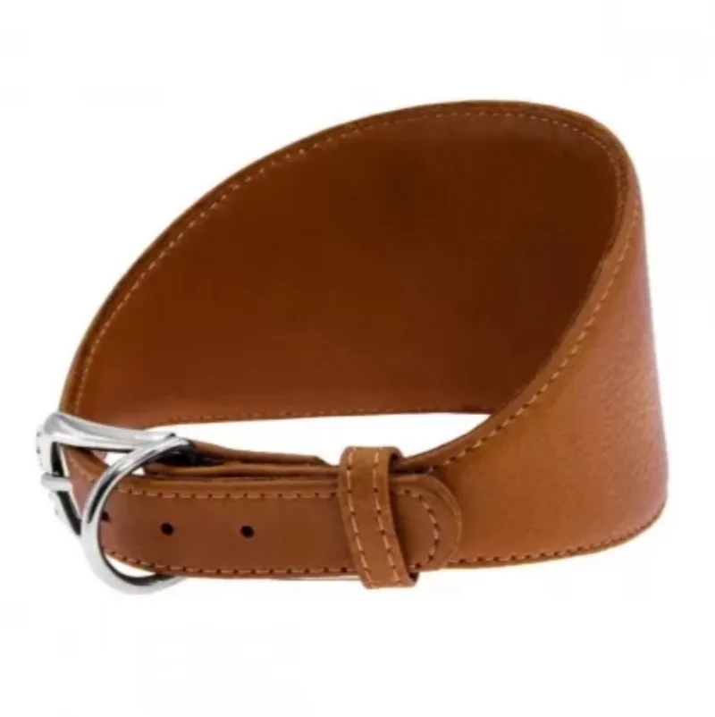 Soft Halsband Windhond - Italiaans leder - XS - Nekomtrek: 26 - 32 cm (GELIEVE ALVORENS BESTELLEN OPMETEN) de Waudog en Marron – photo produit