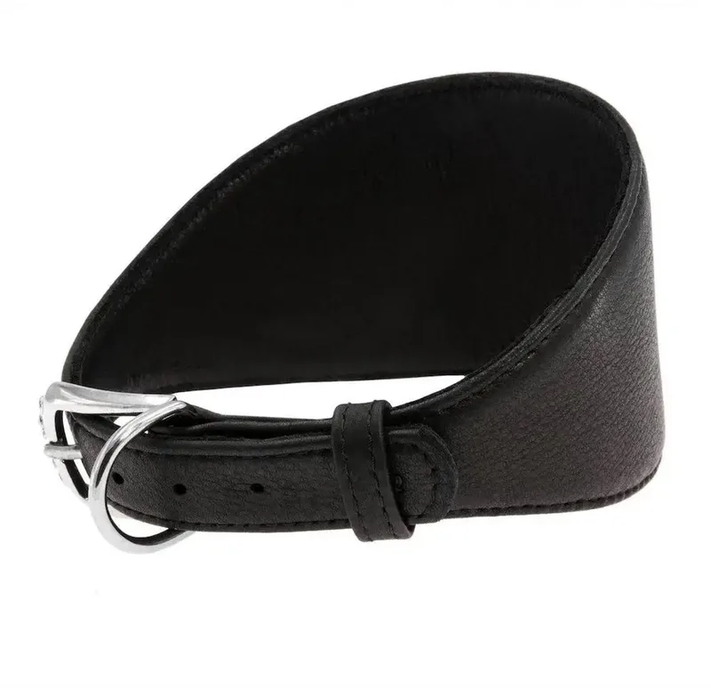 Soft Halsband Windhond - Italiaans leder - Zwart - XS - Nekomtrek: 26 - 32 cm (GELIEVE ALVORENS BESTELLEN OPMETEN) fra Waudog i Sort – produktbillede