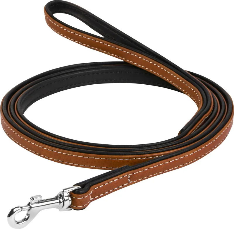 Soft Hondenriem / Hondenlijn - Echt Leder - Breedte: 13 mm - Lengte: 122 cm by Waudog in Brown – product photo