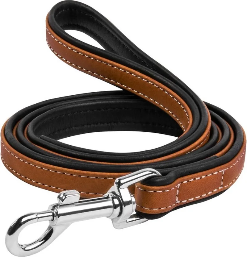 Soft Hondenriem / Hondenlijn - Echt Leder - Breedte: 18 mm - Lengte: 122 cm de Waudog en Marron – photo produit