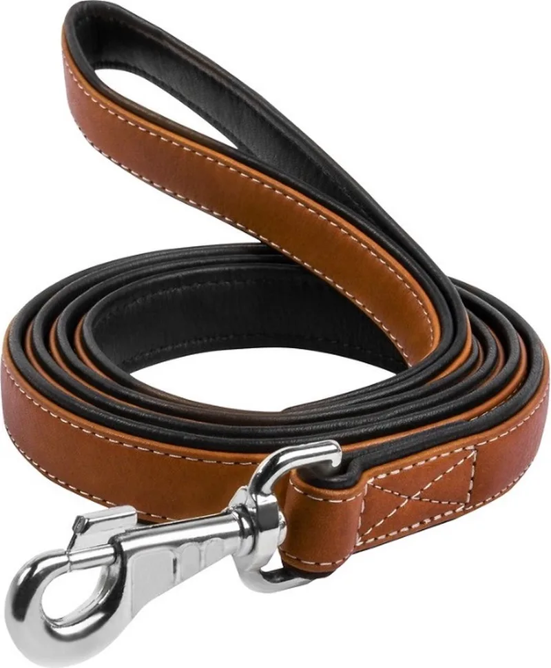 Soft Hondenriem / Hondenlijn - Echt Leder - Breedte: 25 mm - Lengte: 122 cm de Waudog en Marron – photo produit