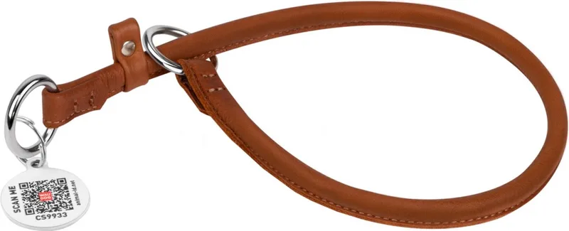Soft Jerk-Choke Sliphalsband / Hondenhalsband - Leder - Gratis QR-tag - XS - Diameter: 6 mm - Nekomtrek: 16 - 21 cm (GELIEVE ALVORENS BESTELLEN OPMETEN) de Waudog en Marron – photo produit