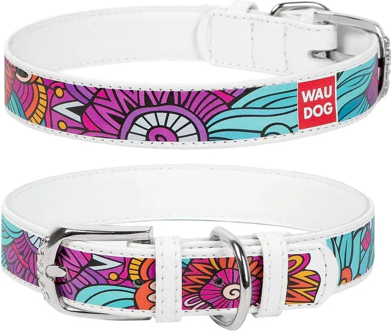 Summer Halsband / Hondenhalsband - Echt Leder - Wit - Full Colour Print - Breedte: 2,5 cm - Nekomtrek: 38 - 49 cm (GELIEVE ALVORENS BESTELLEN OPMETEN) von Waudog in Wit met Summer print – Produktfoto